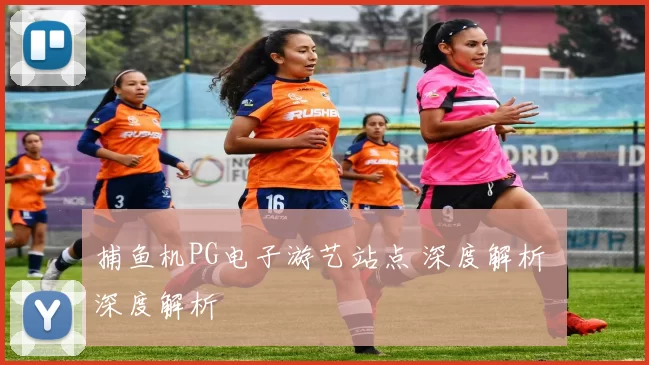 捕鱼机PG电子游艺站点 深度解析 深度解析
