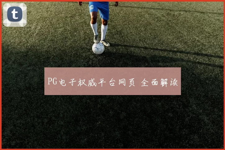PG电子权威平台网页 全面解读