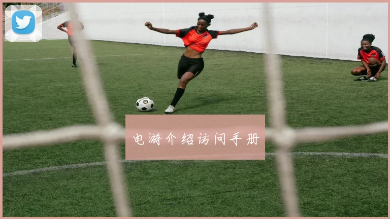 电游介绍访问手册