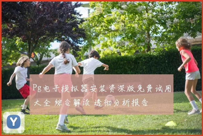 Pg电子模拟器安装资深版免费试用大全 综合解读 透彻分析报告